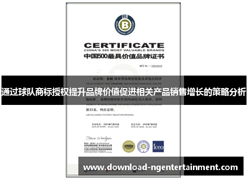 通过球队商标授权提升品牌价值促进相关产品销售增长的策略分析